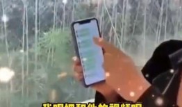 张兰爆料语音视频播放,揭秘背后惊人真相